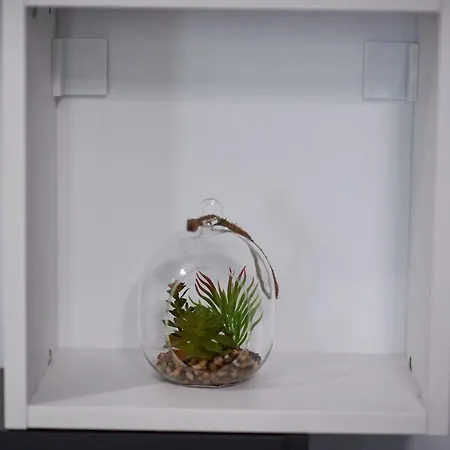 Purple Pearl N Pool Năvodari