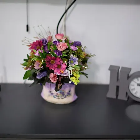 Purple Pearl N Pool Năvodari